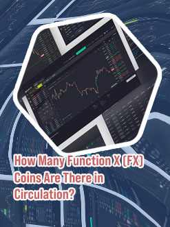 Crypto fx