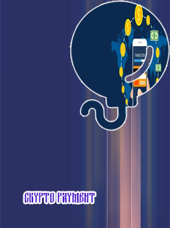 Cryptocurrency payment system