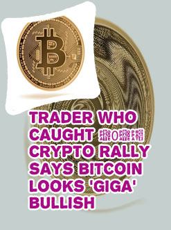 Picture of bitcoin