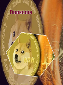 Platforms that support dogecoin